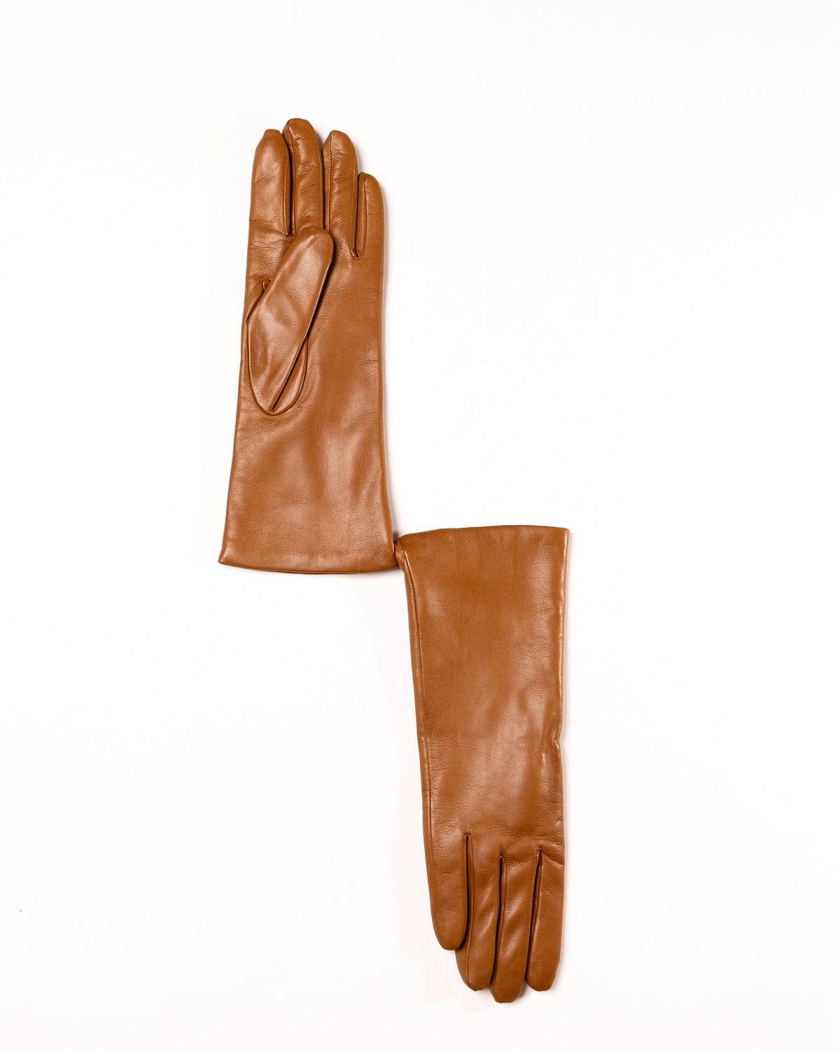 Women's Long Gloves in Nappa Leather and 100% Cashmere