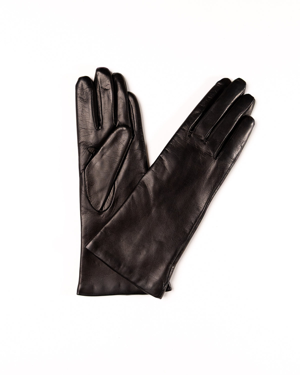 Women's Long Gloves in Nappa Leather and 100% Cashmere